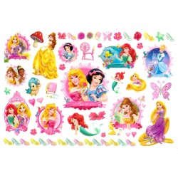 Disney Princess...